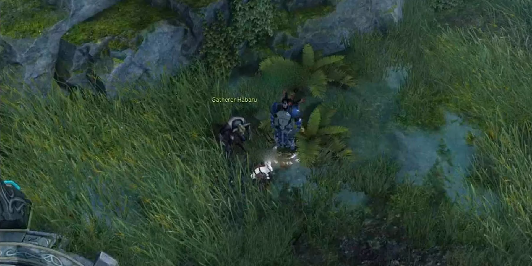best-leveling-spots-in-lost-ark-a-2026-hunter-s-guide-image-3