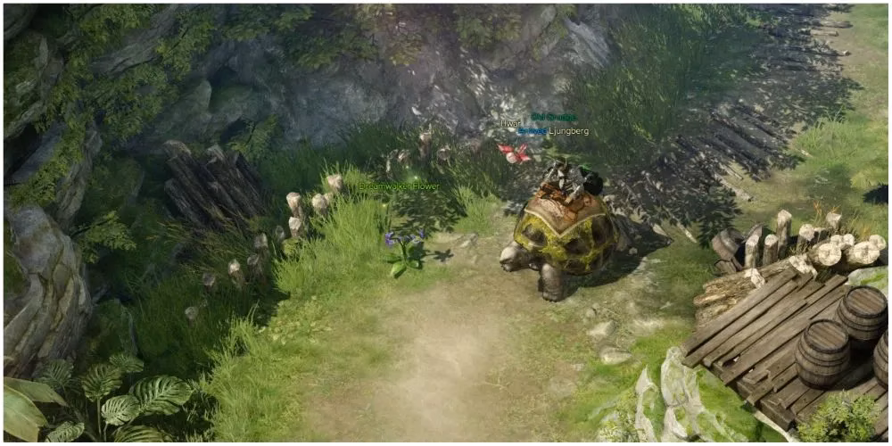 my-go-to-foraging-routes-in-lost-ark-for-2026-image-2