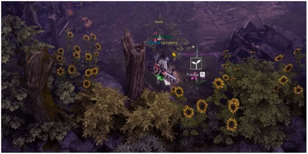 my-go-to-foraging-routes-in-lost-ark-for-2026-image-3
