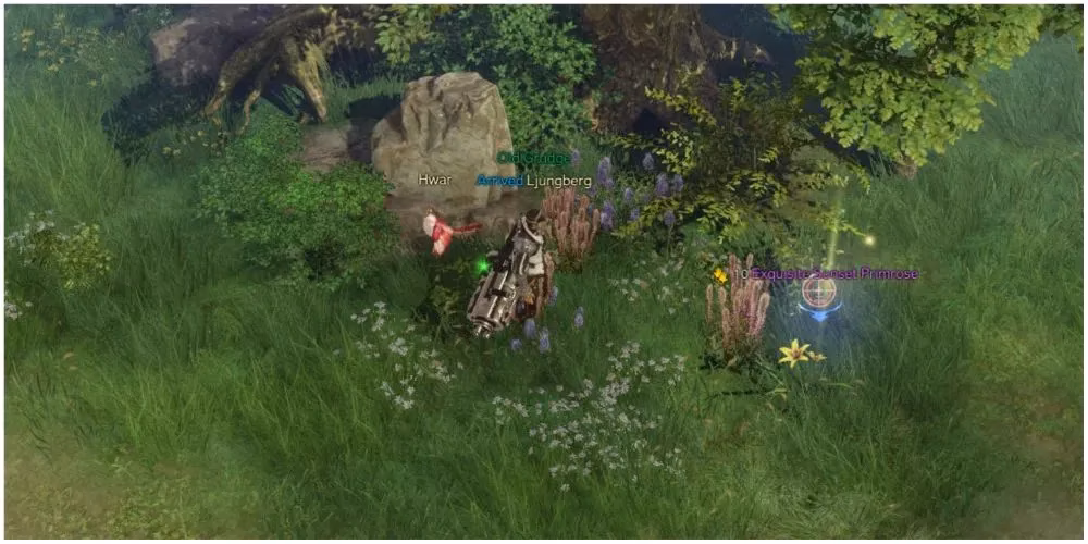 my-go-to-foraging-routes-in-lost-ark-for-2026-image-4