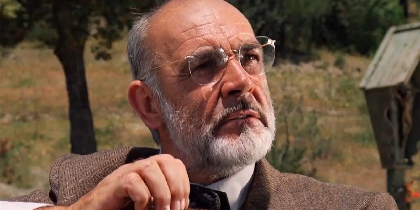 the-iconic-characters-and-cast-of-the-indiana-jones-franchise-a-timeless-adventure-legacy-image-2